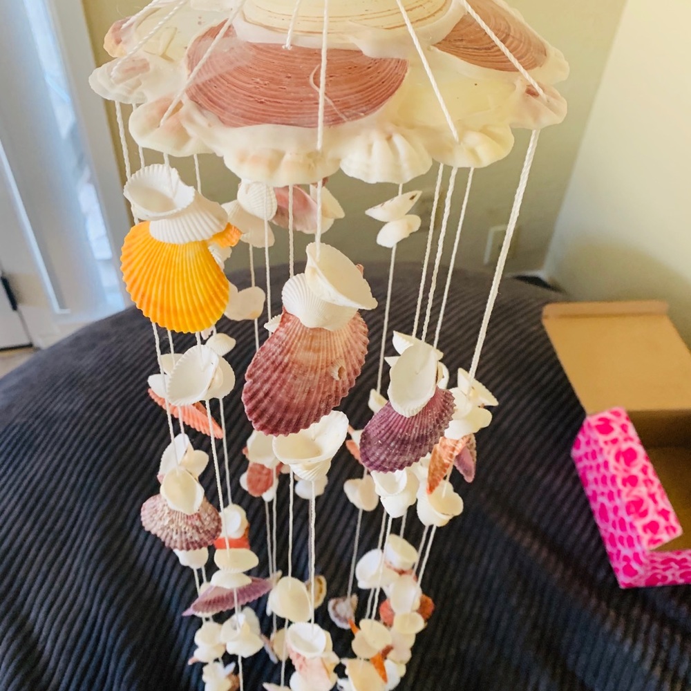 Indoor outdoor natural seashell hanging decor